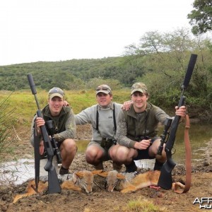 Jackal 1st South African safari
