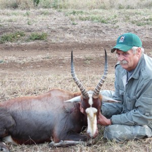 Blesbok