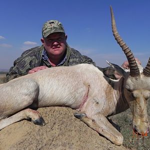 Blesbok