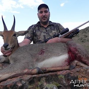 Mountain Reedbuck