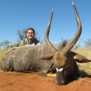 Nyala