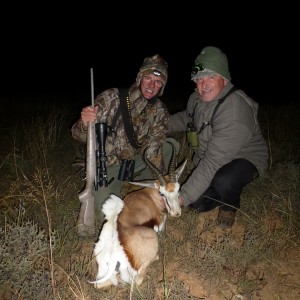 Springbok cull