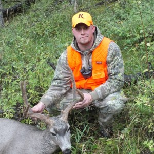 2013 Mule Deer Colorado