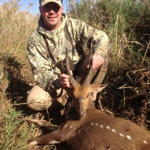 2014 Bushbuck