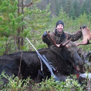 Idaho Shiras Bull