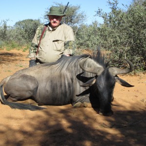 Blue wildebeest taken on Amanita Safaris concession