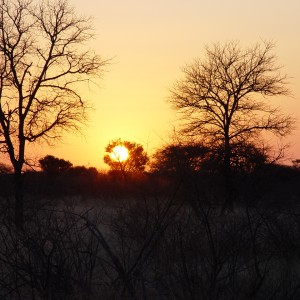 African sunrise at Limcroma