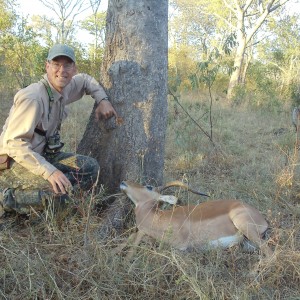 shot tree with impala in front of it