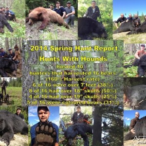 British Columbia Black Bear Hunt