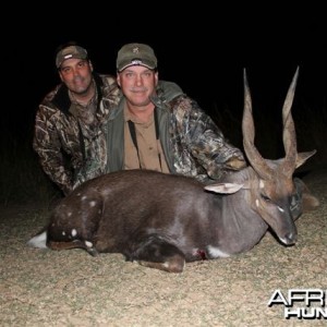 Hunting Bushbuck