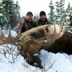 British Columbia Moose Hunt