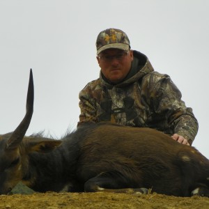 Bushbuck 2014