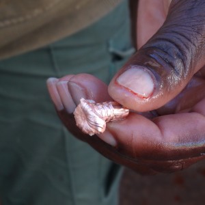 oryx bullet in Matheus's hand