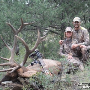 New Mexico Elk Hunting