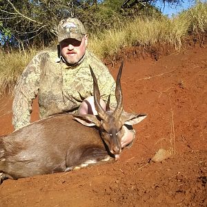 Bushbuck