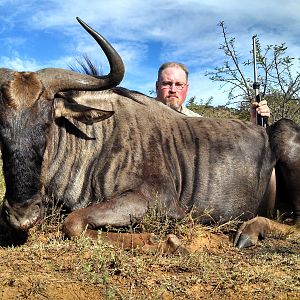 Blue Wildebeest