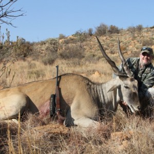 Eland Bull