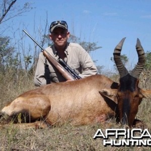 Red Hartebeest 2010