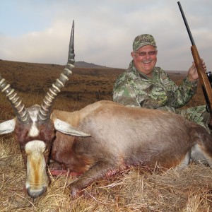 Blesbok