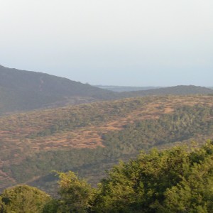 Tootabi Lodge View