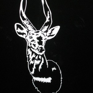 Bushbuck Decal Stickers