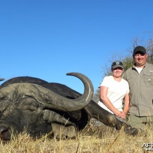 Cape Buffalo