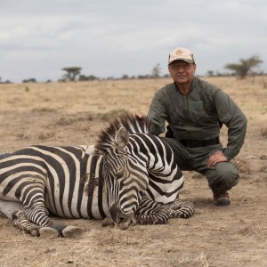 Mature Zebra, Masailand, Tanzania