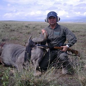Wildebeest Shot at Masailand, Tanzania