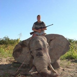 Elephant Hunt