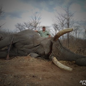 72x68 pounds Elephant Zimbabwe