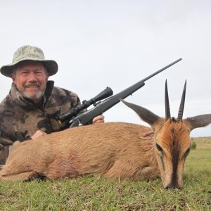 Southern Bush Duiker