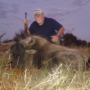 Mike's Blue wildebeest