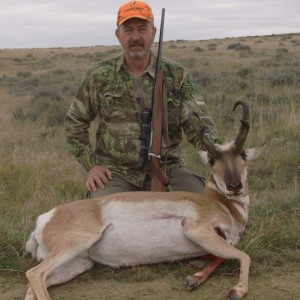 Pronghorn Antelope