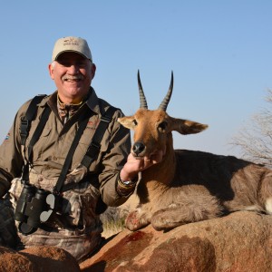 Mountain Reedbuck