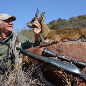 Klipspringer