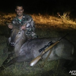 Waterbuck COW