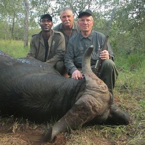 Buffalo 2015 Bulls with Spear safaris