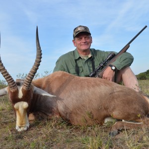 Blesbok KMG Hunting Safaris