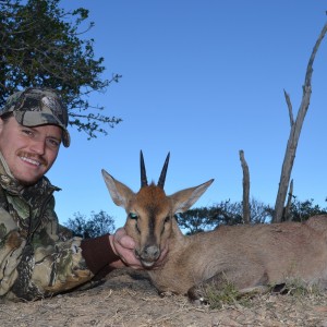 Duiker KMG Hunting Safaris