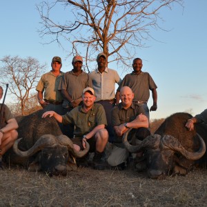 Buffalo KMG Hunting Safaris