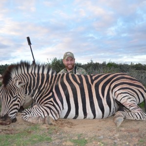 Zebra KMG Hunting Safaris