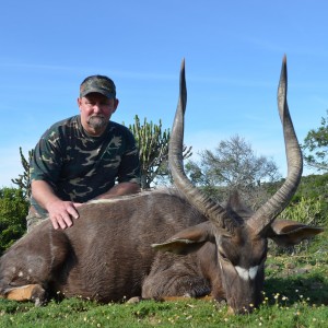 Nyala KMG Hunting Safaris