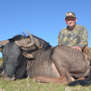 Blue Wildebeest KMG Hunting Safaris