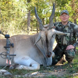 Greater Eland