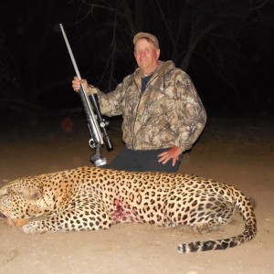 Hunting Leopard at Ozondjahe Hunting Safaris in Namibia
