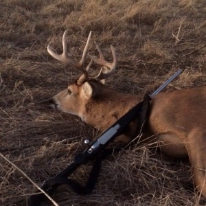 2014 Oklahoma deer