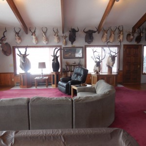 Trophy Room North Wall