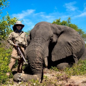 Zimbabwe Elephant, November 2014