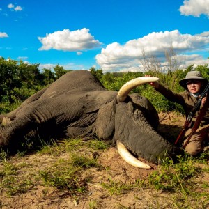 Elephant Zimbabwe, November 2014