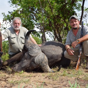 Buffalo Selous Game Reserve 2014